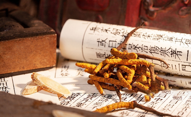Cordyceps Powder/Extract