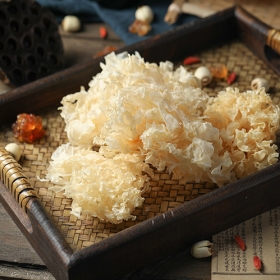 Tremella Powder/ Extract