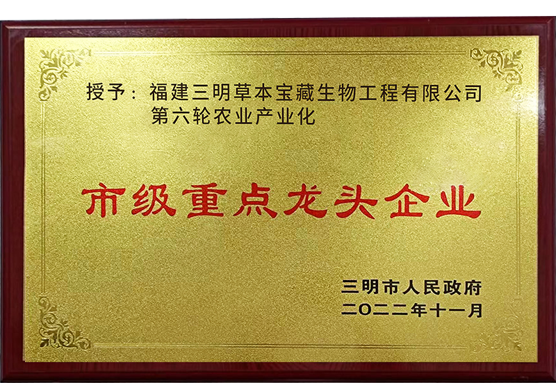 Municipal-key-leading-enterprises