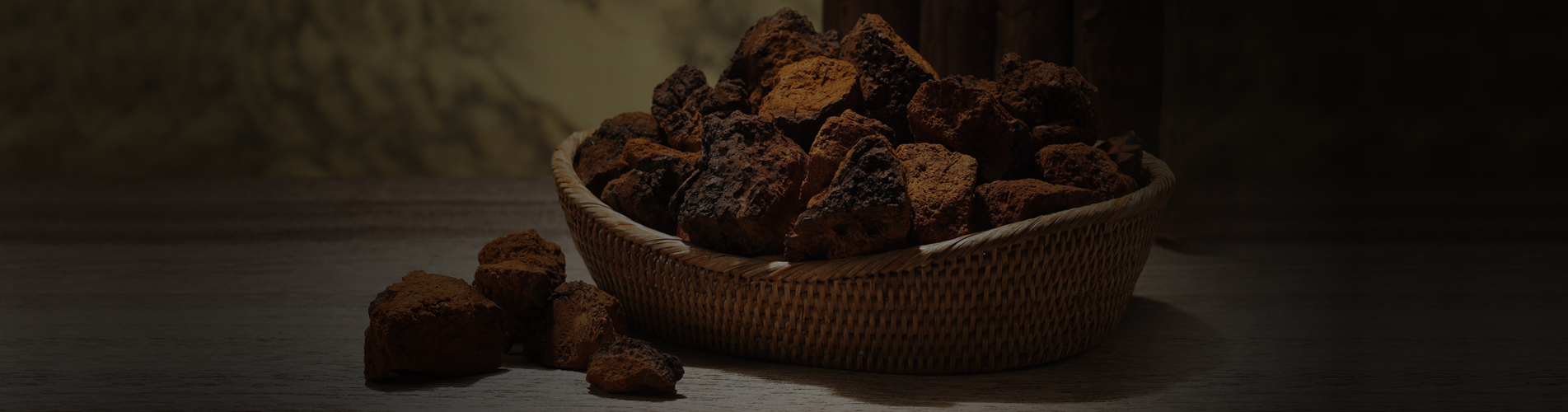 Chaga (Inonotus obliquus)