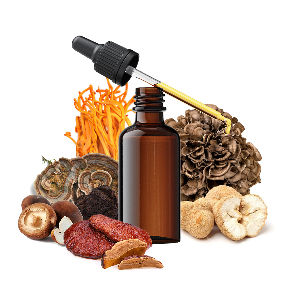 Medicinal Mushroom Extracts
